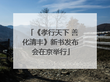《孝行天下 善化清丰》新书发布会在京举行