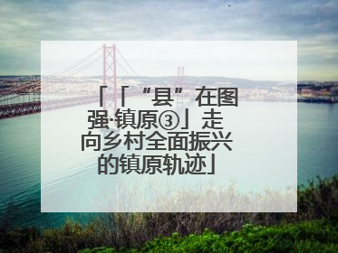 「“县”在图强·镇原③」走向乡村全面振兴的镇原轨迹