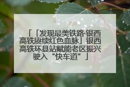 「发现最美铁路·银西高铁赓续红色血脉」银西高铁环县站赋能老区振兴驶入“快车道”