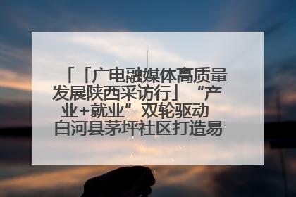 「广电融媒体高质量发展陕西采访行」“产业+就业”双轮驱动 白河县茅坪社区打造易地搬迁后扶新样本