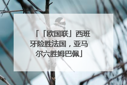 「欧国联」西班牙险胜法国，亚马尔六胜姆巴佩