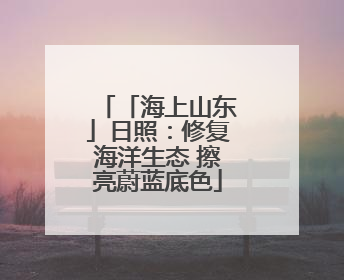 「海上山东」日照：修复海洋生态 擦亮蔚蓝底色