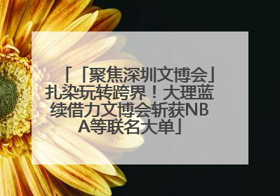 「聚焦深圳文博会」扎染玩转跨界！大理蓝续借力文博会斩获NBA等联名大单