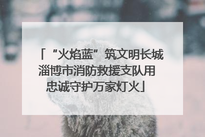 “火焰蓝”筑文明长城 淄博市消防救援支队用忠诚守护万家灯火