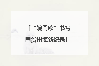 “皖甬欧”书写国货出海新纪录
