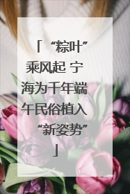 “粽叶”乘风起 宁海为千年端午民俗植入“新姿势”