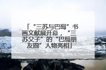 “三苏与巴蜀”书画文献展开幕，“三苏父子”的“巴蜀朋友圈”人物亮相