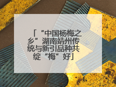 “中国杨梅之乡”湖南靖州传统与新引品种共绽“梅”好