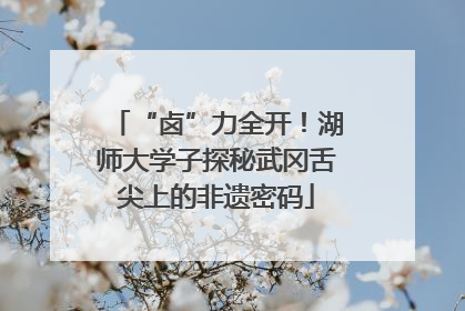 “卤”力全开！湖师大学子探秘武冈舌尖上的非遗密码