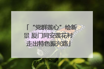 “党群莲心”绘新景 厦门同安莲花村走出特色振兴路
