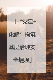 “党建+化解”构筑基层治理安全堤坝