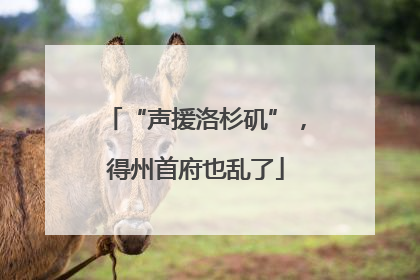 “声援洛杉矶”，得州首府也乱了