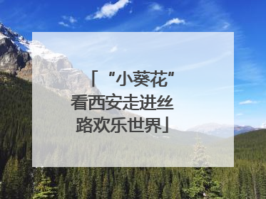 “小葵花”看西安走进丝路欢乐世界