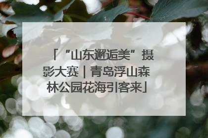 “山东邂逅美”摄影大赛｜青岛浮山森林公园花海引客来