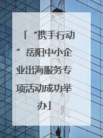 “携手行动”岳阳中小企业出海服务专项活动成功举办