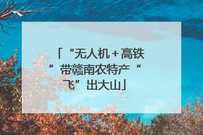 “无人机＋高铁”带赣南农特产“飞”出大山