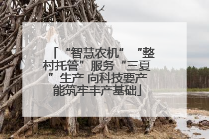 “智慧农机”“整村托管”服务“三夏”生产 向科技要产能筑牢丰产基础