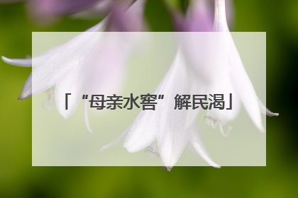 “母亲水窖”解民渴