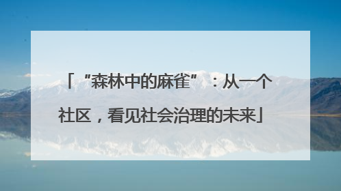 “森林中的麻雀”：从一个社区，看见社会治理的未来
