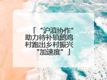“沪滇协作”助力待补镇鹧鸡村跑出乡村振兴“加速度”