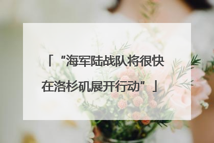 “海军陆战队将很快在洛杉矶展开行动”