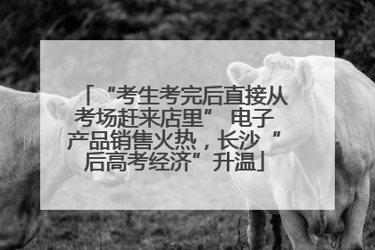 “考生考完后直接从考场赶来店里” 电子产品销售火热，长沙“后高考经济”升温