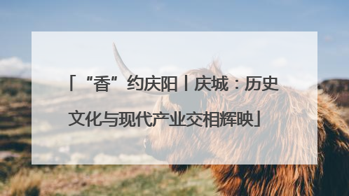“香”约庆阳丨庆城：历史文化与现代产业交相辉映