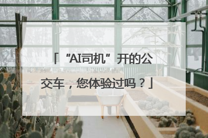 “AI司机”开的公交车，您体验过吗？