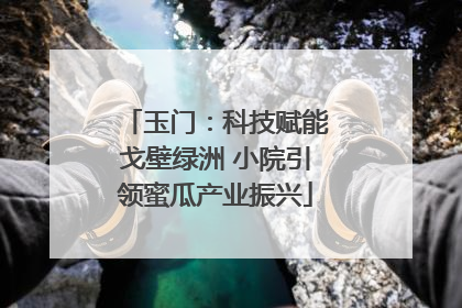 玉门：科技赋能戈壁绿洲 小院引领蜜瓜产业振兴