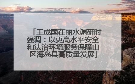王成国在丽水调研时强调：以更高水平安全和法治环境服务保障山区海岛县高质量发展