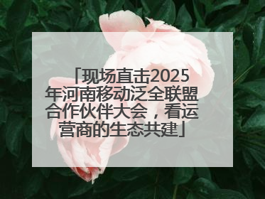 现场直击2025年河南移动泛全联盟合作伙伴大会，看运营商的生态共建