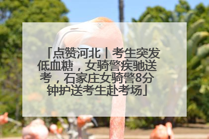 点赞河北丨考生突发低血糖，女骑警疾驰送考，石家庄女骑警8分钟护送考生赴考场