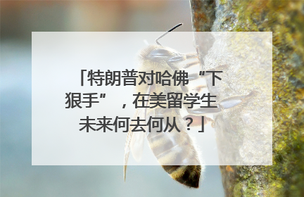 特朗普对哈佛“下狠手”，在美留学生未来何去何从？