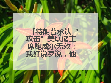 特朗普承认“攻击”美联储主席鲍威尔无效：我好说歹说，他就是不降息