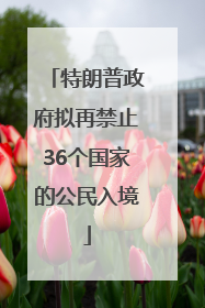 特朗普政府拟再禁止36个国家的公民入境
