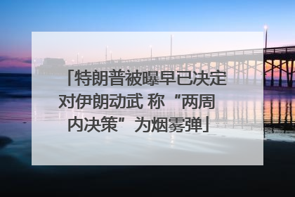 特朗普被曝早已决定对伊朗动武 称“两周内决策”为烟雾弹