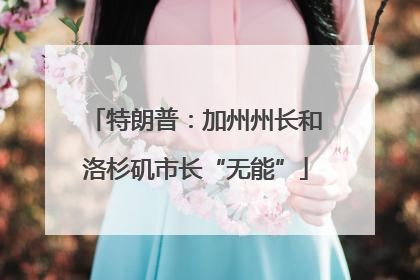 特朗普：加州州长和洛杉矶市长“无能”