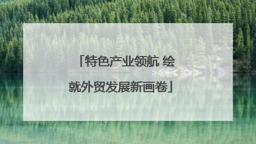 特色产业领航 绘就外贸发展新画卷