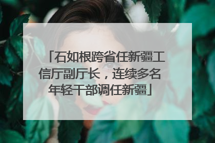 石如根跨省任新疆工信厅副厅长，连续多名年轻干部调任新疆