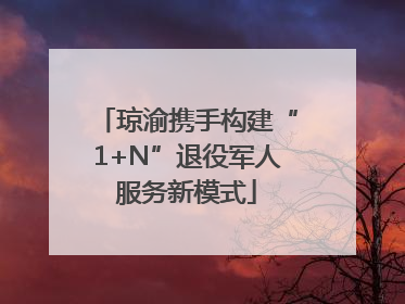 琼渝携手构建“1+N”退役军人服务新模式