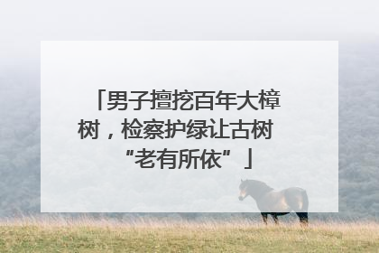 男子擅挖百年大樟树，检察护绿让古树“老有所依”