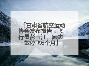 甘肃省航空运动协会发布报告：飞行员彭玉江、顾志敏停飞6个月