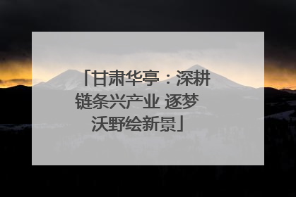 甘肃华亭：深耕链条兴产业 逐梦沃野绘新景