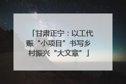甘肃正宁：以工代赈“小项目”书写乡村振兴“大文章”
