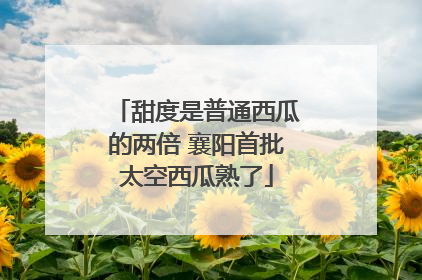 甜度是普通西瓜的两倍 襄阳首批太空西瓜熟了
