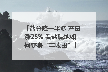 盐分降一半多 产量涨25% 看盐碱地如何变身“丰收田”