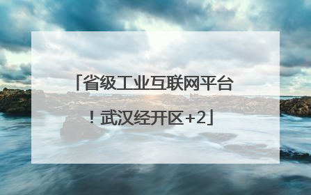 省级工业互联网平台！武汉经开区+2