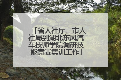 省人社厅、市人社局到湖北东风汽车技师学院调研技能竞赛集训工作