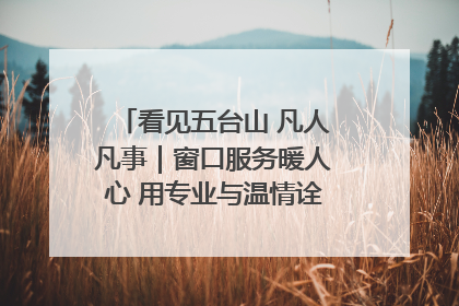 看见五台山 凡人凡事｜窗口服务暖人心 用专业与温情诠释责任担当