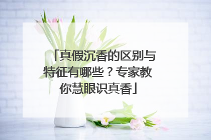 真假沉香的区别与特征有哪些？专家教你慧眼识真香
